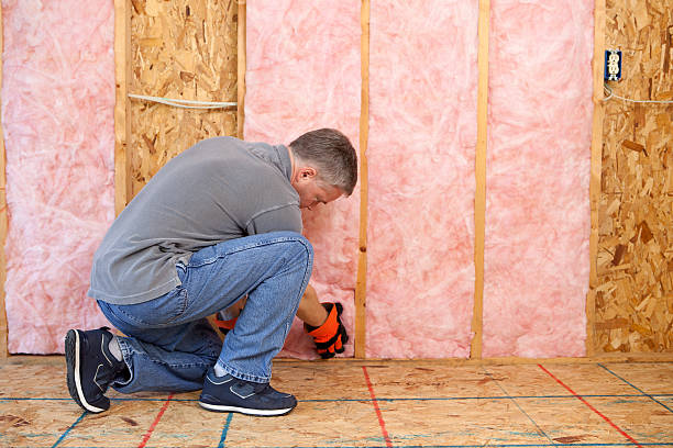 Best Insulation for Specific Applications in Waipahu, HI